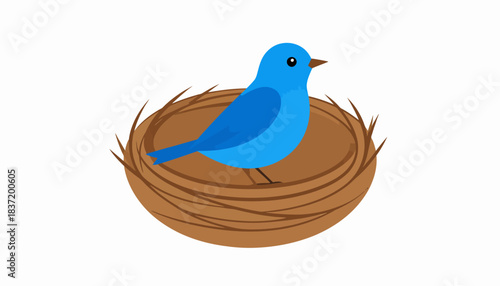 Blue Bird Sitting in Nest.