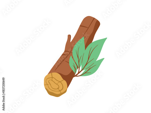 Campfire Wood with Leaf for Camping
