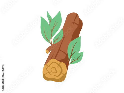 Bonfire Wood with Leaf for Camping
