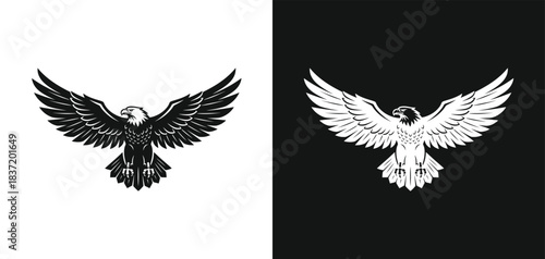 Dramatic eagle vector illustration on white background, flaying, EPS 