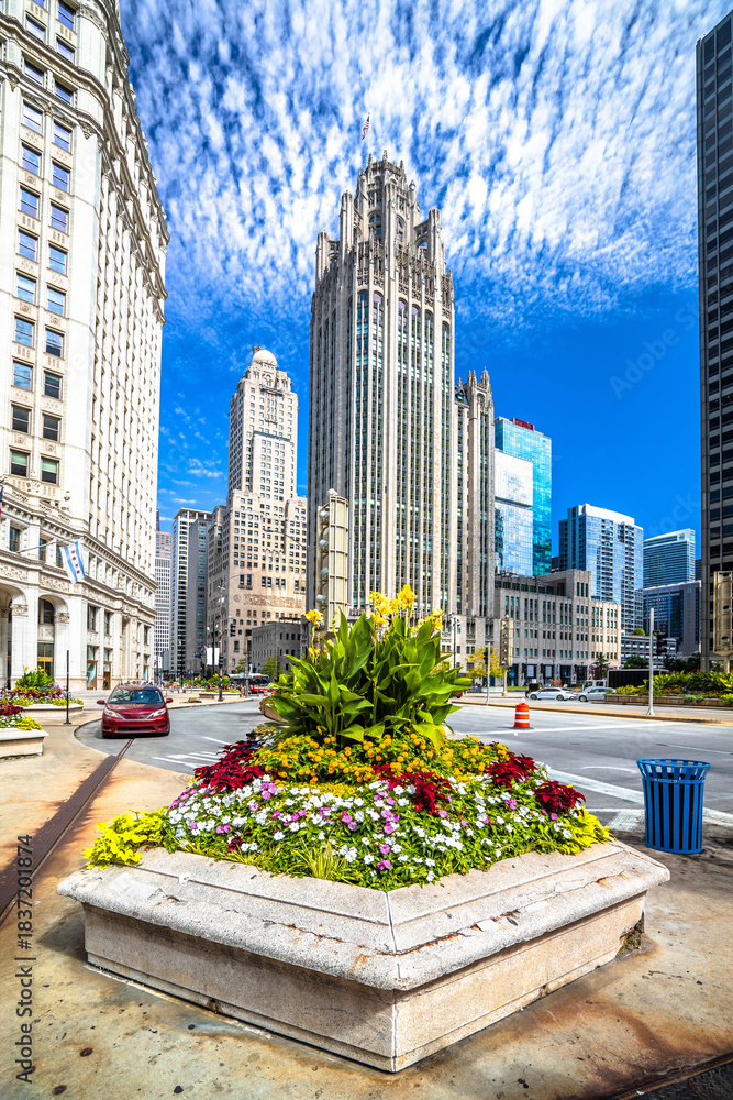 Fototapeta premium Chicago, USA. Chicago scenic street and architecture view