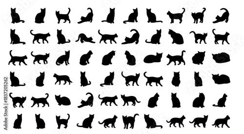 Black Cat Silhouette Illustrations in Various Poses for Pet and Animal Design Collection