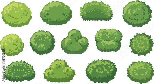 Collection of Various Green Bushes and Shrubs Isolated on White Background Ideal for Landscaping and Garden Design