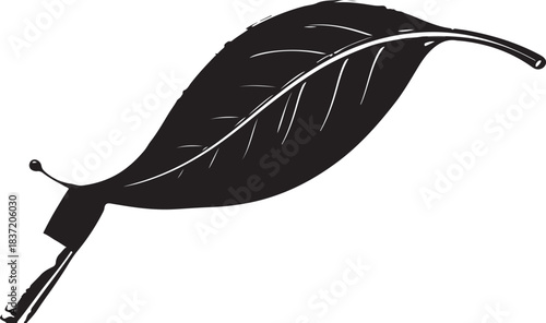 Black silhouette of a single leaf with veins botanical