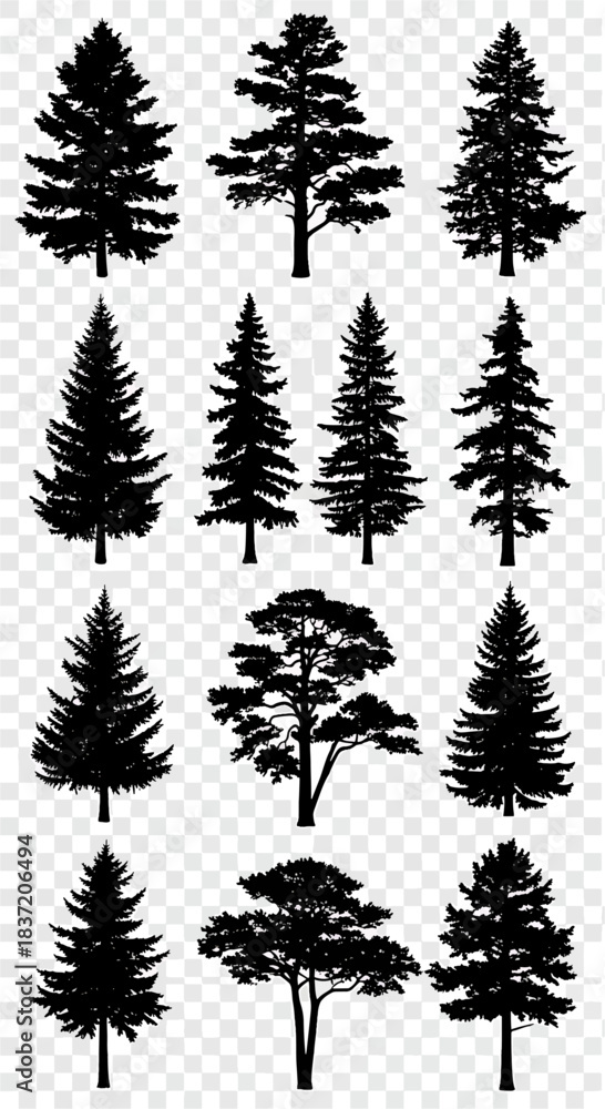 Fototapeta premium Collection of realistic pine and fir tree silhouettes isolated on a transparent background, diverse shapes and sizes