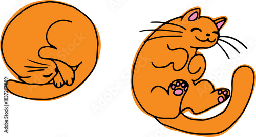 A set of cute funny ginger cats sleeping, curled up, lying belly up, drawn with crooked grunge lines