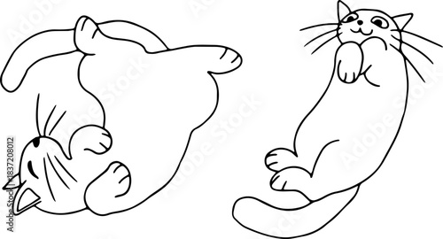 Two cute funny cats lying on their backs, top view, drawn with crooked grunge lines