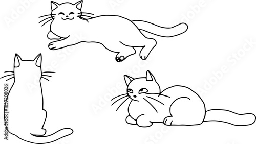 A set of cute funny cats in different poses: lying down, sitting like a loaf, with their tail stretched out, sitting with their back turned, drawn with crooked grunge lines