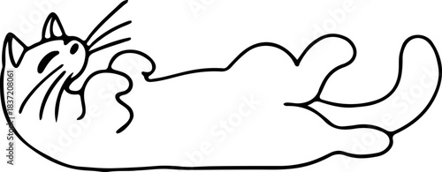 A cute funny cat lies on its back showing its belly, side view, drawn with crooked grunge lines