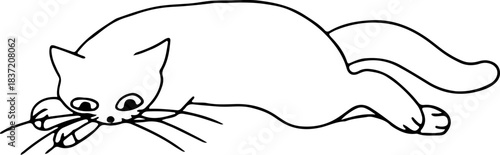 A cute funny thoughtful cat lies with its paws under its head, drawn with crooked grunge lines