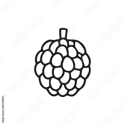 Simple outline drawing of a custard apple fruit