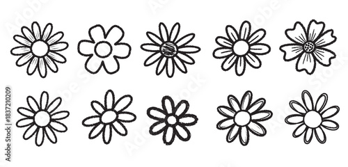 Variety flower scribble element design