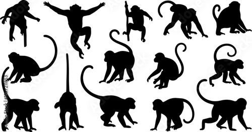 “Monkey Silhouette Collection”