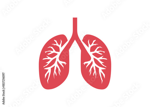 Lung human icon, respiratory system healthy lungs anatomy flat medical organ icon