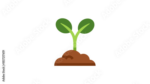 A vibrant green plant sprout with two small leaves growing from a mound of rich brown soil.