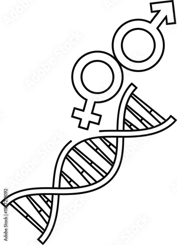 Genetic dna helix with male and female gender symbols, representing biological sex, identity, reproduction, and human genome science.