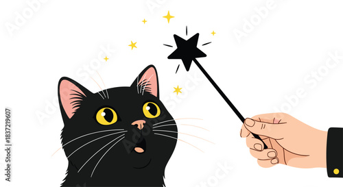 Surprised black cat with wide yellow eyes looking at a magic wand held by a hand, creating sparkling yellow stars.