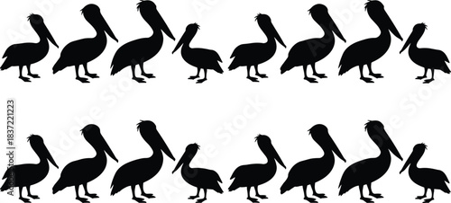 Pelican silhouette icon set, bird posture and wildlife shape collection, nature graphics, cad drawing flat vector illustration