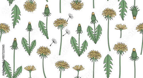A charming seamless pattern of hand-drawn dandelions in various stages of bloom, from buds to fluffy seed heads, on a clean white background for a spring feel.