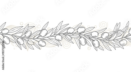 Elegant seamless horizontal border composed of hand-drawn olive branches with leaves and fruits in a classic sketch engraving style.