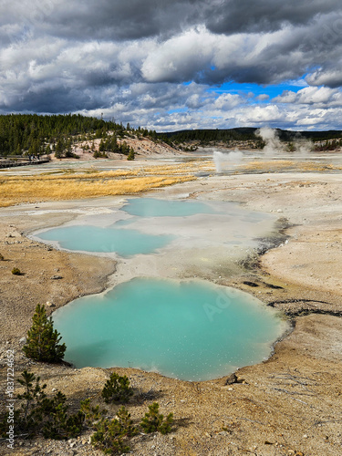 Turquoise hot springs in Norris Geyser Basin