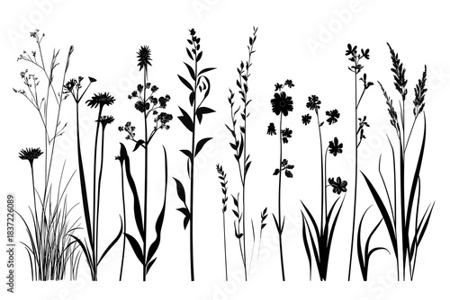 Wallpaper Mural Elegant Botanical Silhouettes: A sophisticated collection of meticulously crafted botanical silhouettes, showcasing an array of natural flora, creating a harmonious and artistic design. Torontodigital.ca