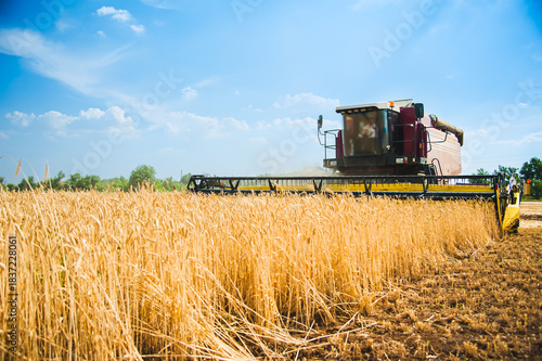 Combine harvesters in a field of wheat