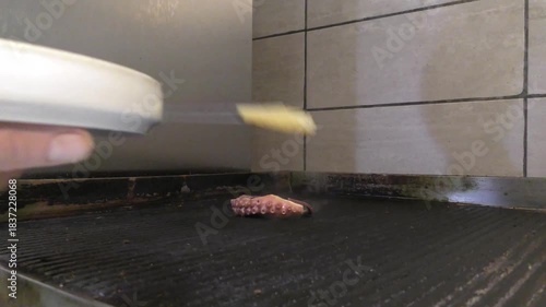 Cibo cotto su piastra. Polipo, ananas, indivia