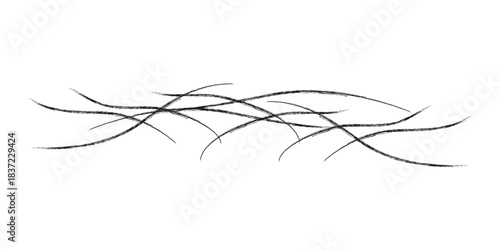 Textured dark wavy lines forming an abstract decorative border element.
