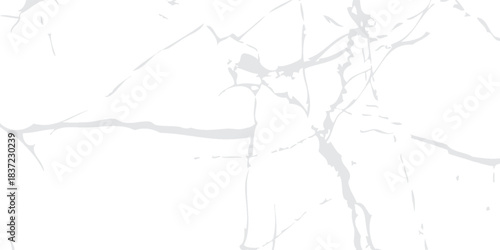 Elegant White Marble Surface with Subtle Veins and Texture.