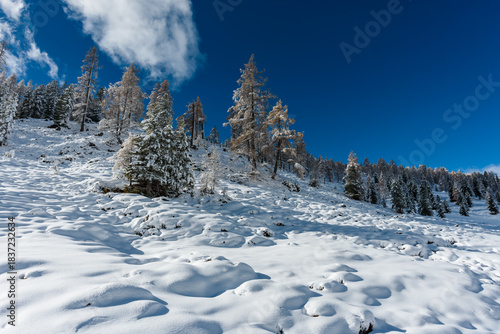 Wallpaper Mural Kremstal  bei Neuschnee in Österreich Torontodigital.ca