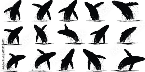 Whale breaching silhouette grid, humpback whale, dynamic motion, ocean leap, black figures, marine life, splash sequence, front back view, illustration