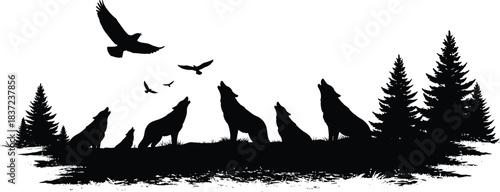 Wolves, silhouette, forest, birds, nature, howling, wild, animals, pine trees, unity, wilderness, outdoor, dramatic, wildlife, sky, predator, scene, group, flying, illustration