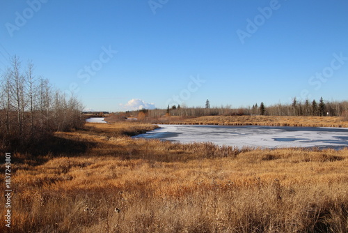 winter landscape with a laek