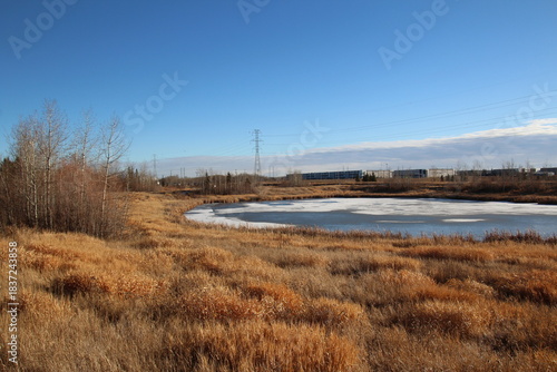 Autumn Day On The Lane