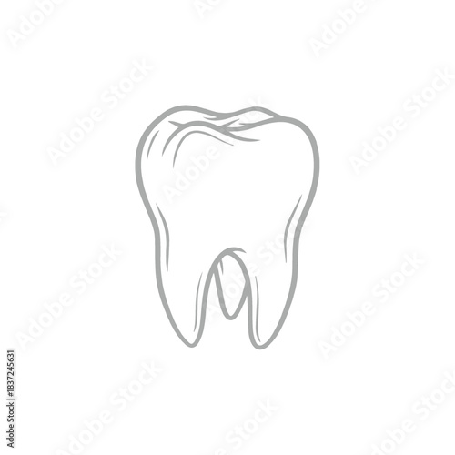 Human Molar Tooth Icon Illustration