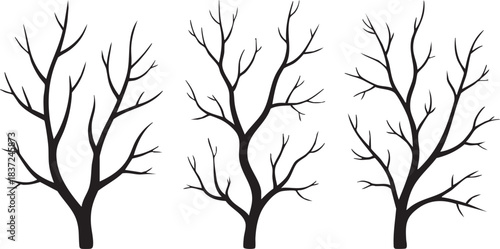 Vector collection of black silhouettes of tree branches isolated on white background