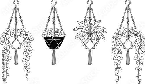 Hand drawn macrame hanging planter set with trailing plants, decorative indoor garden illustration collection for modern home wall decor art