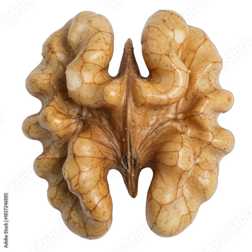 close-up of a cracked walnut half revealing intricate kernel patterns on a white background.