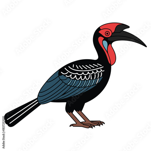 southern ground hornbill