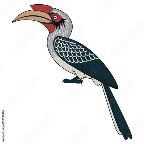 sri lanka grey hornbill