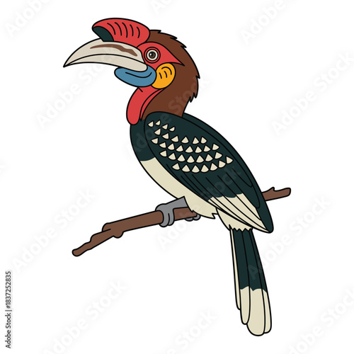 rusty cheeked hornbill