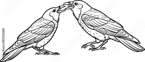 feathered kinship crows deep communication, a symbol of enduring connection and shared knowledge, isolated on transparent background