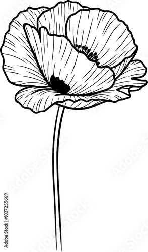 flowering elegance a delicate outline for artisanal creations and tranquility, isolated on transparent background