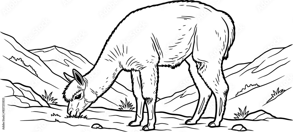 Obraz premium highland solitude a handdrawn glimpse of andean wild spirit, isolated on transparent background