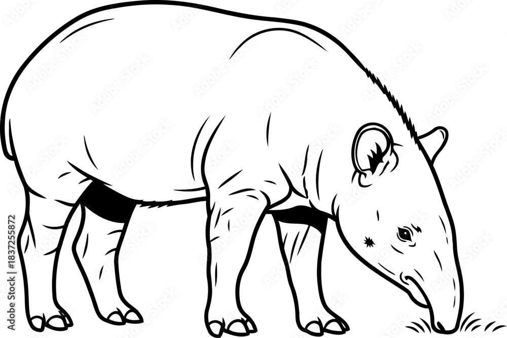 Fototapeta premium jungles gentle architect an ancient forager shaping ecosystems with quiet grace, isolated on transparent background