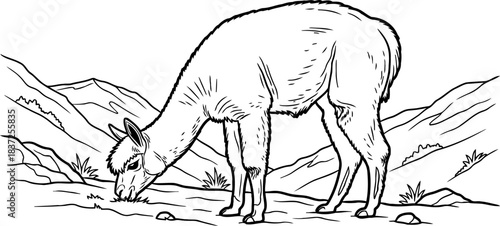 highland solitude a handdrawn glimpse of andean wild spirit, isolated on transparent background