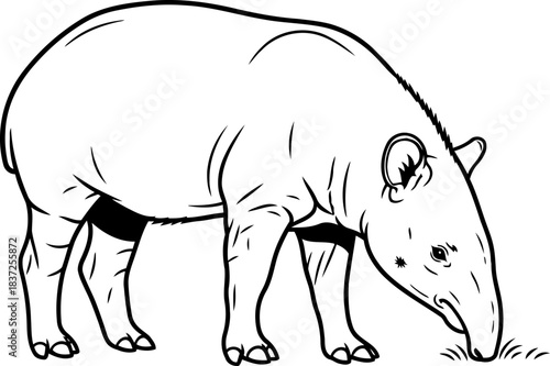 jungles gentle architect an ancient forager shaping ecosystems with quiet grace, isolated on transparent background