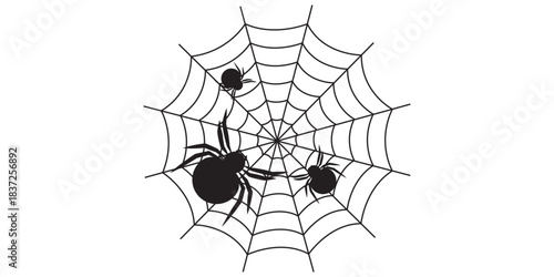 Black Spiders and Web Silhouette Halloween Decoration Isolated on White.