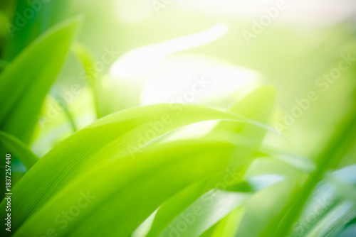 Naturally inspired, beautifully created — feel the calm of green serenity